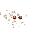 Orecchini da lobo con borsa del pastore