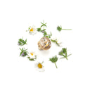 Anello in ottone con fiori primaverili