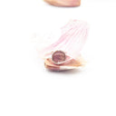 Anello in argento con buccia d'aglio