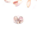 orecchini a lobo con buccia d'aglio