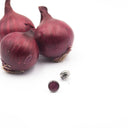 orecchini a lobo con buccia di cipolla rossa