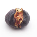 Anello in ottone con fico