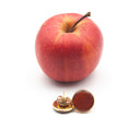 orecchini a lobo con buccia di mela rossa