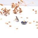 Orecchini da lobo con seme di ombrellino pugliese su sfondo blu