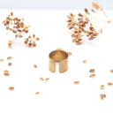 Anello a fascia in ottone con seme di ombrellino pugliese