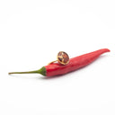 Anello in ottone con peperoncino