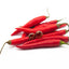Orecchini a lobo con peperoncino
