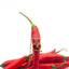 Collana con ciondolo in resina e peperoncino