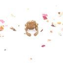 Anillo in brass with flower cutouts and golden fragments