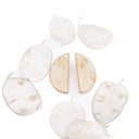 Orecchini a lobo con lunaria