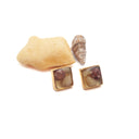 Orecchini a lobo con conchiglia e plastica