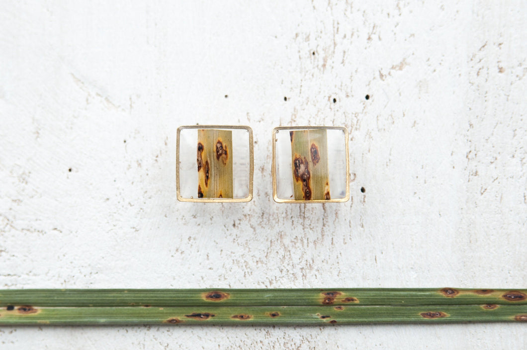 Square resin stud earrings with palm leaf cutout