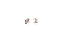 Load image into Gallery viewer, Lobe earrings in resin with bark
