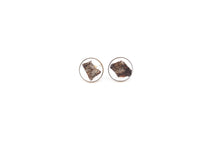 Load image into Gallery viewer, Lobe earrings in resin with bark
