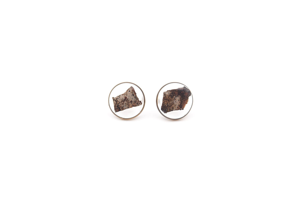 Lobe earrings in resin with bark