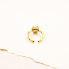 Load image into Gallery viewer, Adjustable brass ring in resin and Apulian umbrella seed
