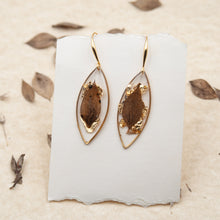 Load image into Gallery viewer, Drop earrings with butcher&#39;s leaf and gold fragments
