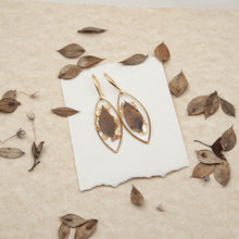 Load image into Gallery viewer, Drop earrings with butcher&#39;s leaf and gold fragments
